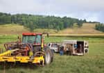 AS_30XP_INT_Farm_6865_600x420_2.jpg